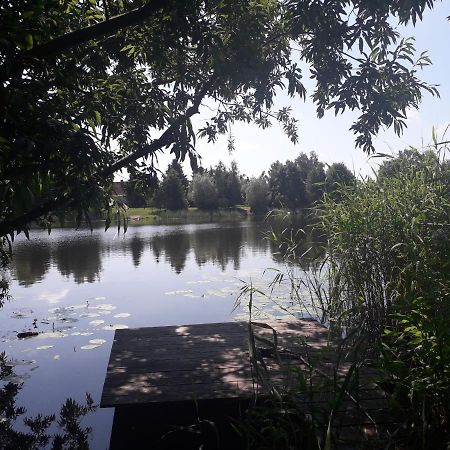 Mala Baza Stobna 5 Apartamento Nowy Dwór Gdański Exterior foto